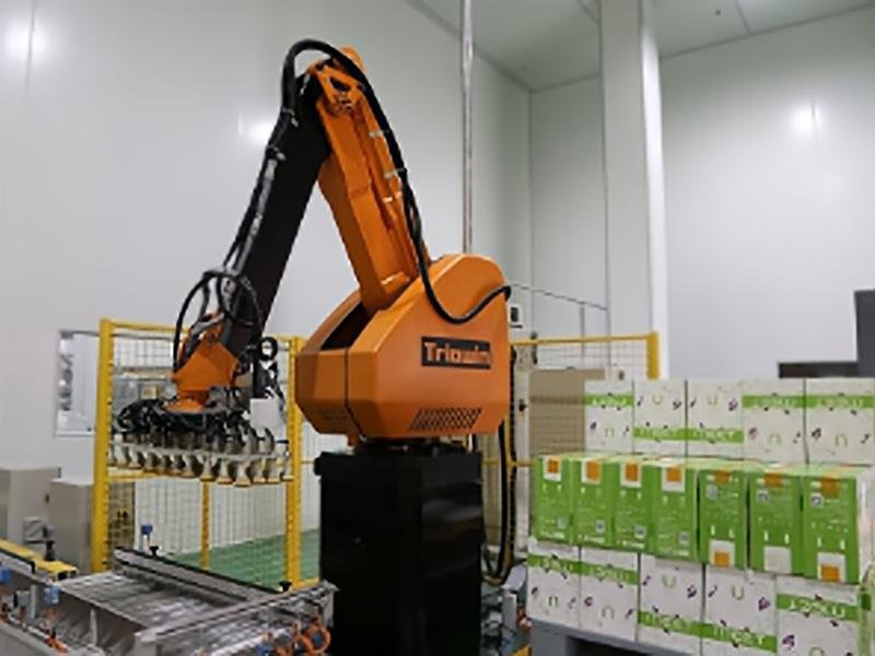 碼垛機(jī)器人